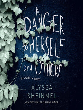 Alyssa Sheinmel: A Danger to Herself and Others