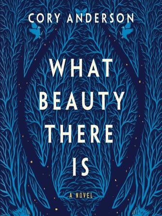 Cory Anderson: What Beauty There Is : A Novel