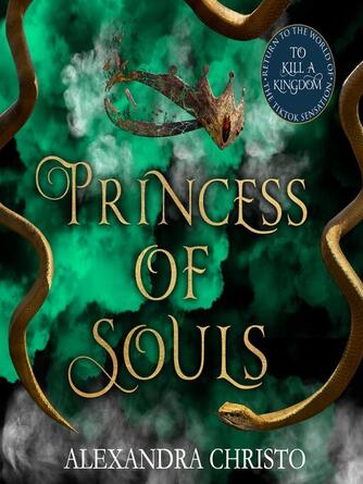 Alexandra Christo: Princess of Souls : from the author of To Kill a Kingdom, the TikTok sensation!