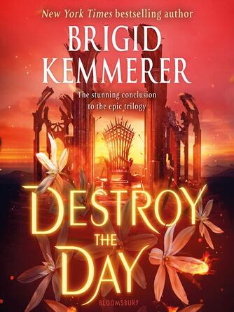 Brigid Kemmerer: Destroy the Day