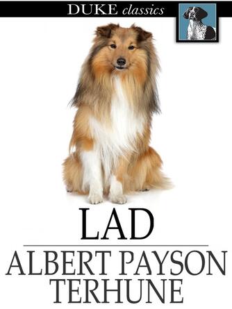 Albert Payson Terhune: Lad: A Dog