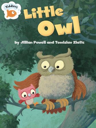 Jillian Powell: Little Owl