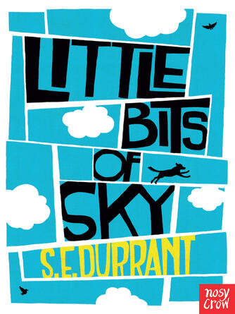 S.E. Durrant: Little Bits of Sky