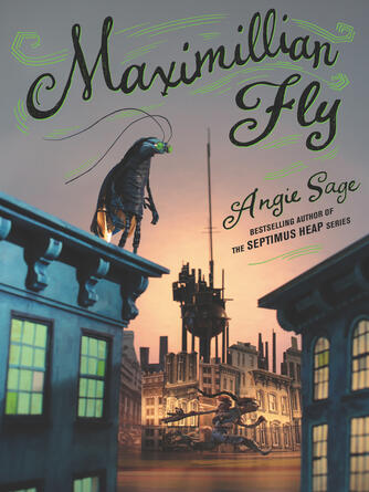 Angie Sage: Maximillian Fly