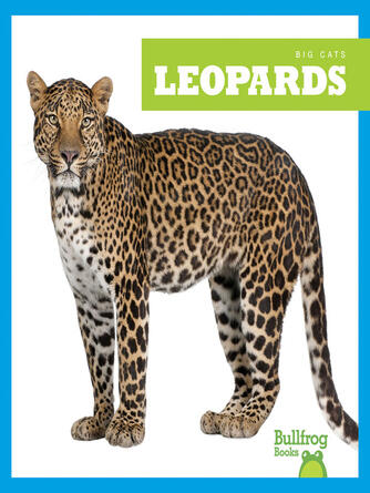Marie Brandle: Leopards