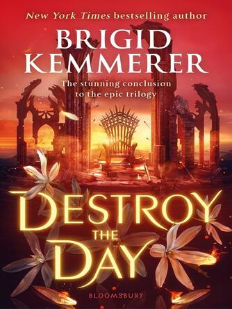 Brigid Kemmerer: Destroy the Day