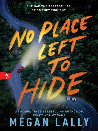 Megan Lally: No Place Left to Hide