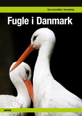 Magnus Nielsen (f. 1967-12-06), Jesper F. Jensen: Fugle i Danmark