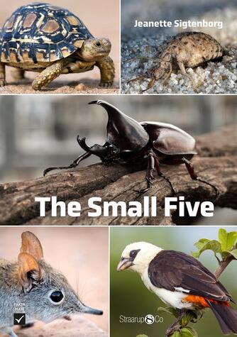 Jeanette Sigtenborg (f. 1992): The small five