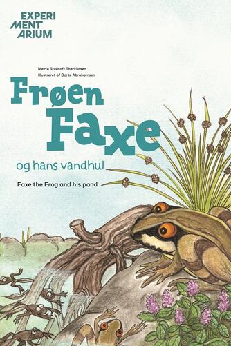 Mette Stentoft Therkildsen, Dorte Abrahamsen: Frøen Faxe og hans vandhul