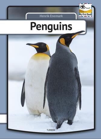Henrik Enemark: Penguins