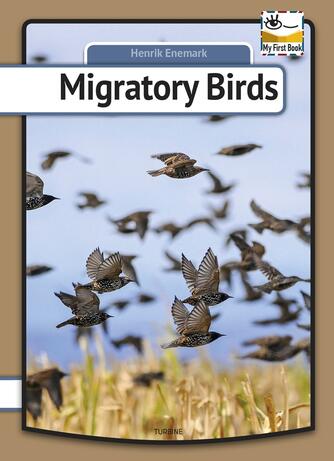 Henrik Enemark: Migratory birds