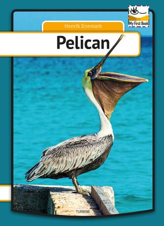 Henrik Enemark: Pelican