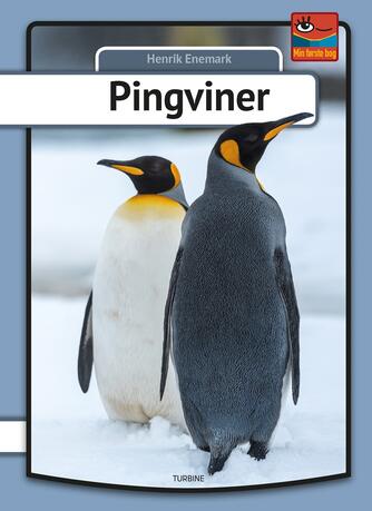 Henrik Enemark: Pingviner