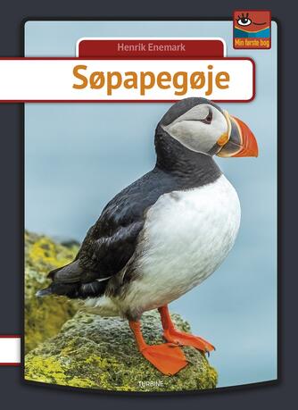 Henrik Enemark: Søpapegøje