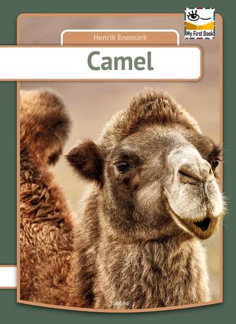 Henrik Enemark: Camel