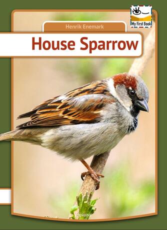 Henrik Enemark: House sparrow