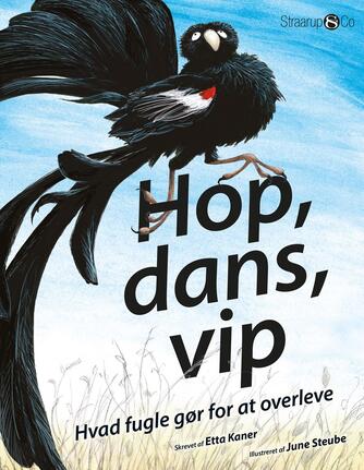 Etta Kaner, June Steube: Hop, dans, vip : hvad fugle gør for at overleve