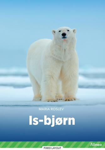 Maria Roslev: Is-bjørn