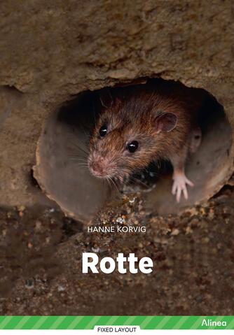 Hanne Korvig: Rotte