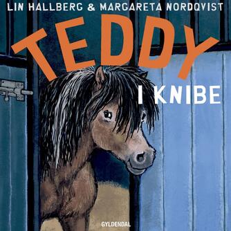 Lin Hallberg: Teddy i knibe