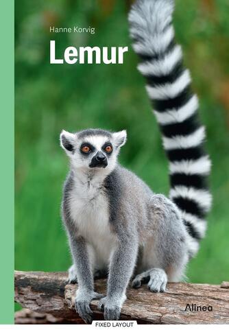Hanne Korvig: Lemur
