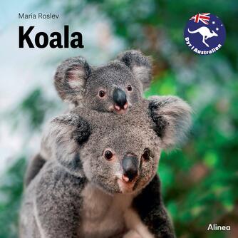 Maria Roslev: Koala
