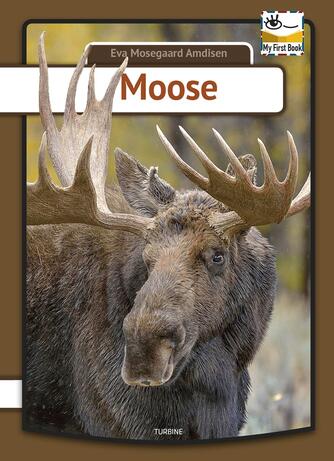 Eva Mosegaard Amdisen: Moose