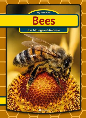 Eva Mosegaard Amdisen: Bees
