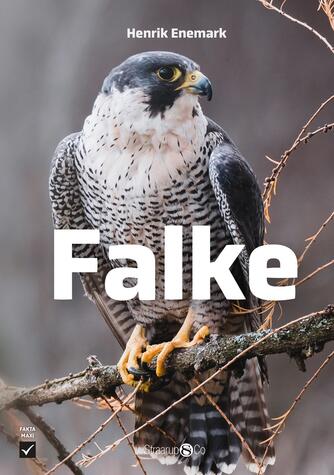 Henrik Enemark: Falke