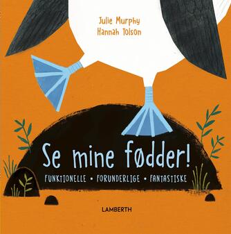 Julie Murphy (f. 1965), Hannah Tolson: Se mine fødder! : funktionelle, forunderlige, fantastiske