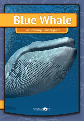 Per Straarup Søndergaard: Blue Whale