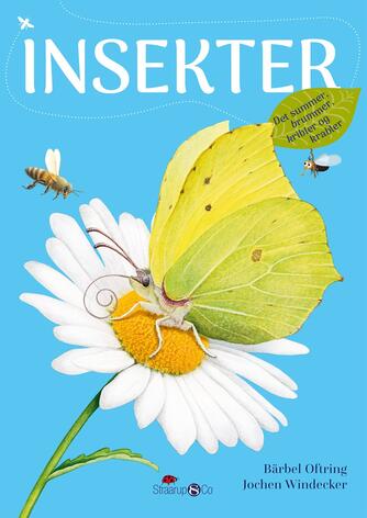 Bärbel Oftring: Insekter