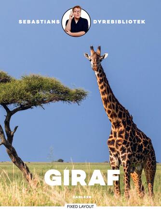 Sebastian Klein: Giraf