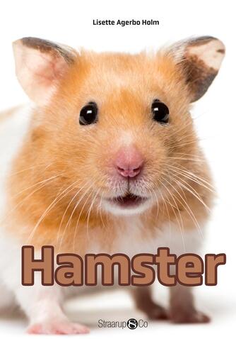 Lisette Agerbo Holm: Hamster