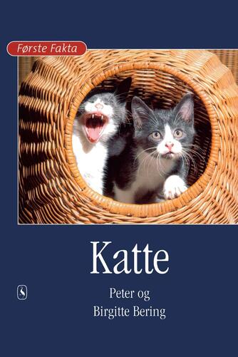 : Katte