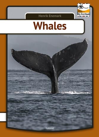 Henrik Enemark: Whales