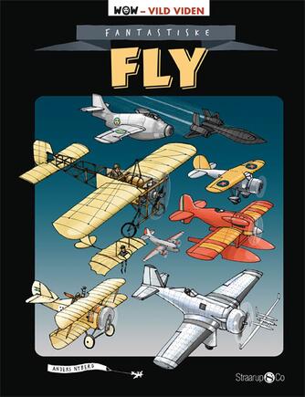 Anders Nyberg (f. 1962-05-22): Fantastiske fly