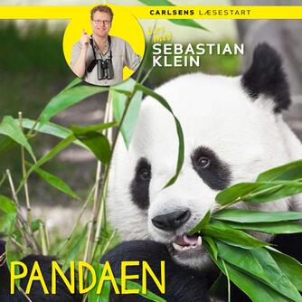 Sebastian Klein: Pandaen