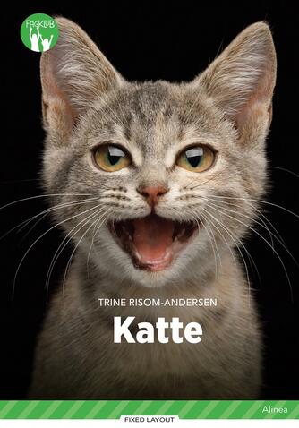 Trine Risom-Andersen: Katte