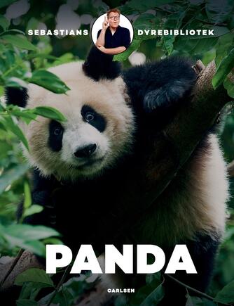 Sebastian Klein: Panda