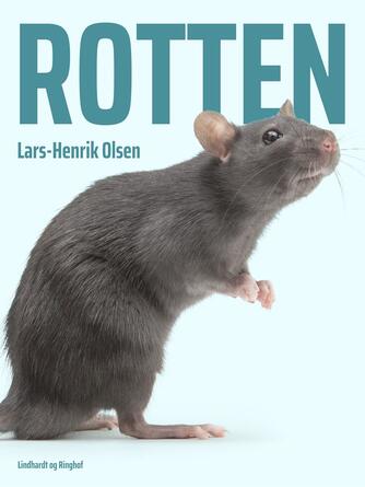 : Rotten
