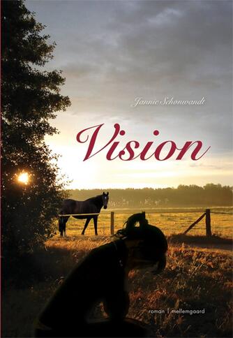 Jannie D. Schønwandt: Vision : roman