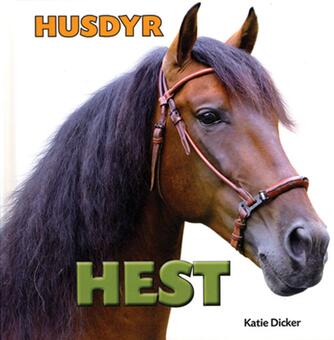 Katie Dicker: Hest