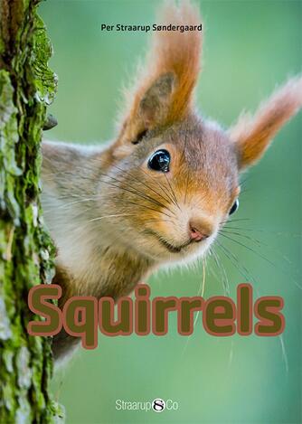 Per Straarup Søndergaard: Squirrels