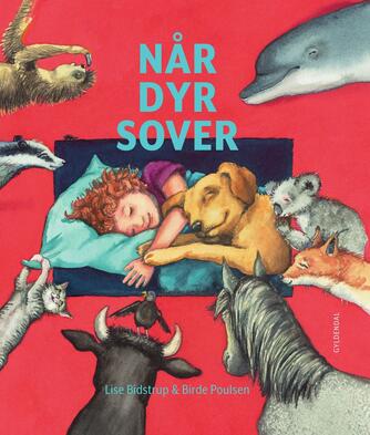 Lise Bidstrup, Birde Poulsen (f. 1953): Når dyr sover : Læs med dit barn