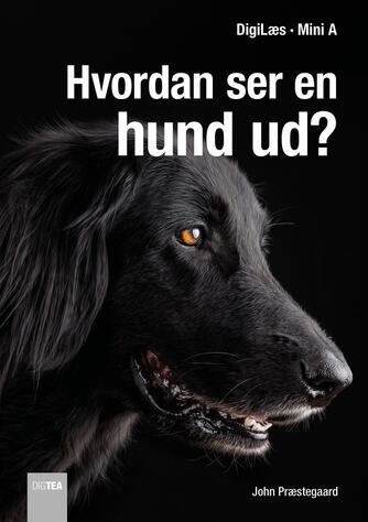 John Nielsen Præstegaard: Hvordan ser en hund ud?