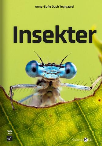 Anne-Sofie Duch Teglgaard: Insekter