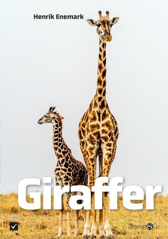 Henrik Enemark: Giraffer