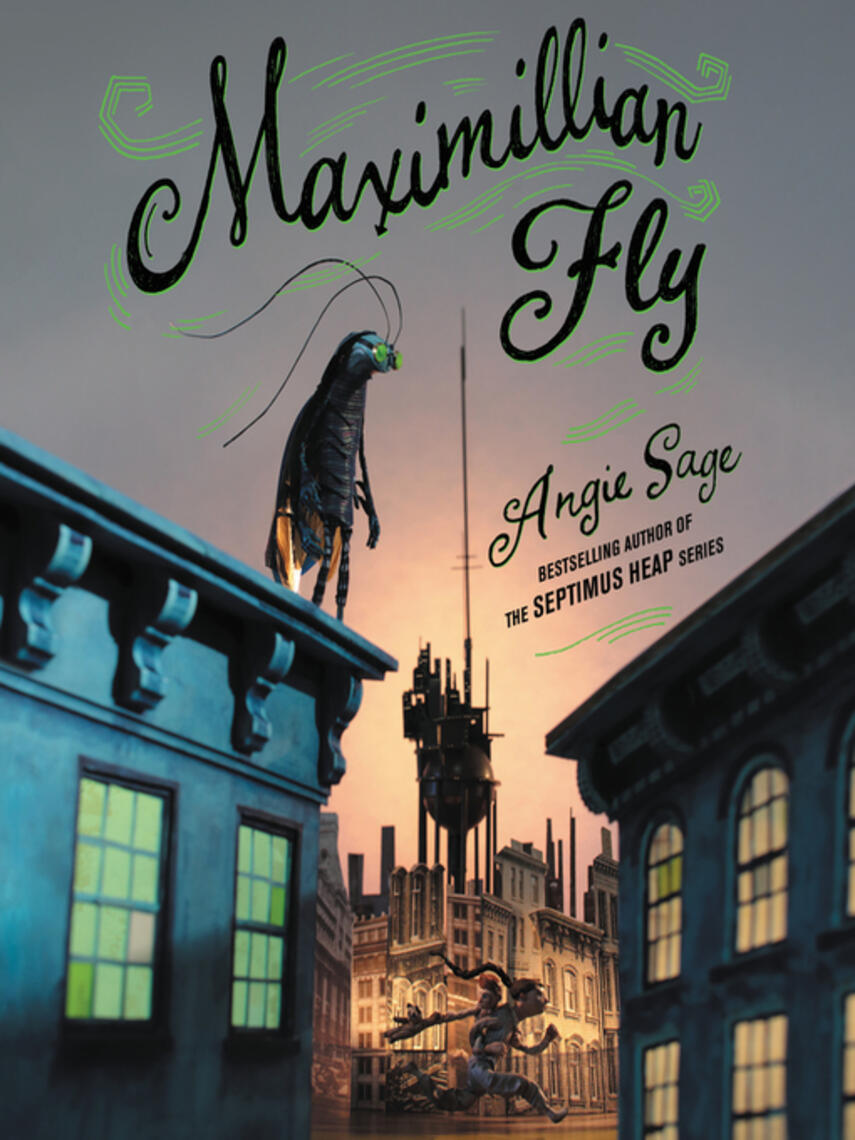 Angie Sage: Maximillian Fly